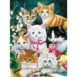 Foto van Rubye diamond painting volwassenen & kinderen - diamond painting pakket volledig - schattige kittens - 30x40cm