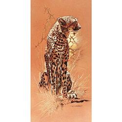 Foto van Renato casaro - cheetah kunstdruk 50x100cm