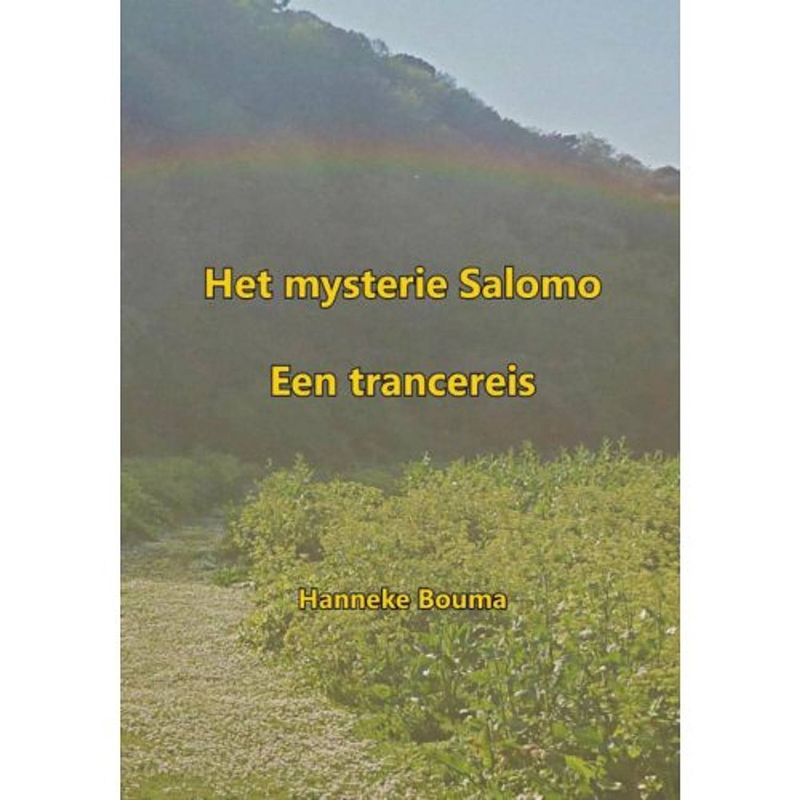 Foto van Het mysterie salomo