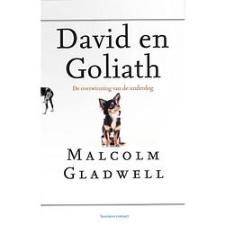 Foto van David en goliath