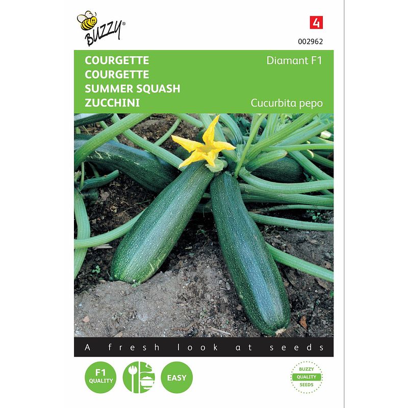 Foto van 2 stuks zucchini courgette diamant f1