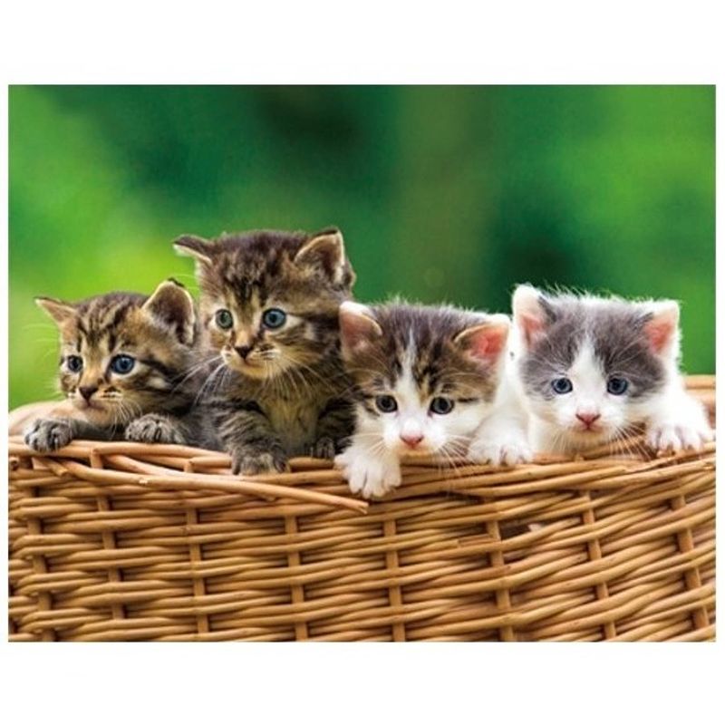 Foto van Dieren magneet 3d kittens in mand - magneten