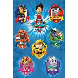 Foto van Pyramid paw patrol crests poster 61x91,5cm