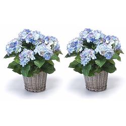 Foto van 2x kunstplant blauwe hortensia in mand 45 cm - kunstplanten/nepplanten