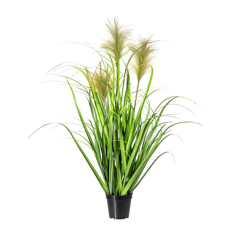 Foto van Kopu® kunstplant chinees riet 90 cm - 3 pluimen - in zwarte pot