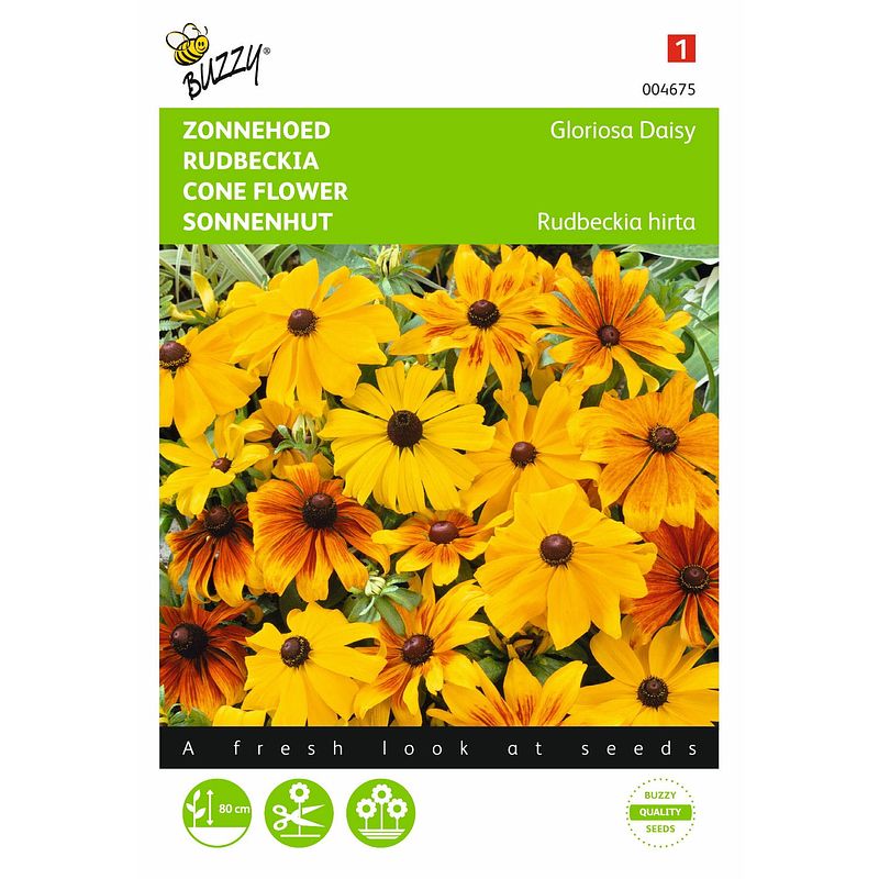 Foto van 2 stuks rudbeckia hirta gloriosa daisy gemengd