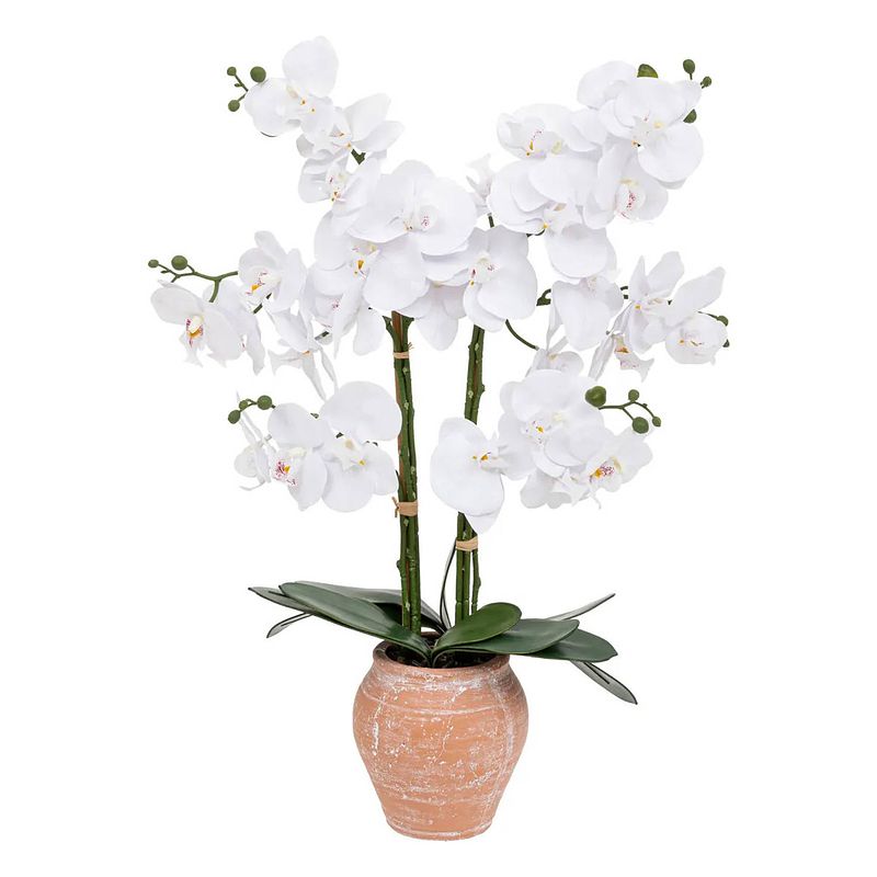 Foto van Atmosphera orchidee bloemen kunstplant in sierlijke terracotta bloempot - witte bloemen - h65 cm - kunstplanten