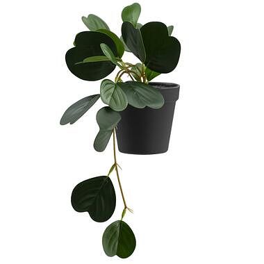 Foto van Kunstplant japonica in pot - groen - 22 cm - leen bakker