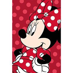 Foto van Disney minnie mouse fleeceplaid dots - 110 x 140 cm - polyester