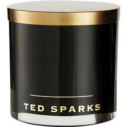 Foto van Ted sparks outdoor candle double magnum