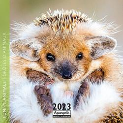 Foto van Funny animals kalender 2023