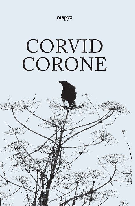 Foto van Corvid corone - mspyx - paperback (9789493230743)