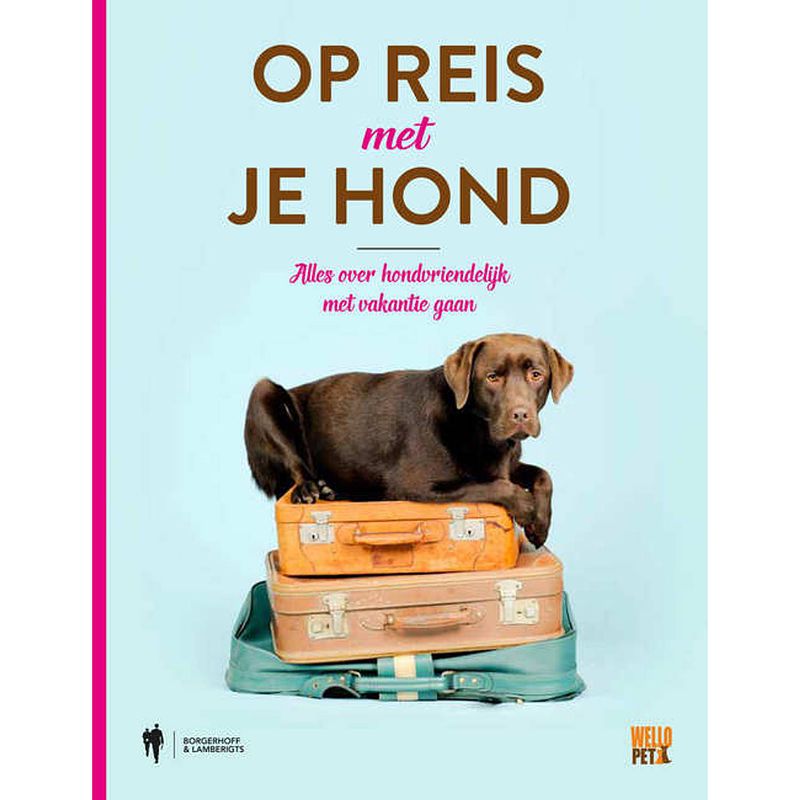 Foto van Op reis met je hond