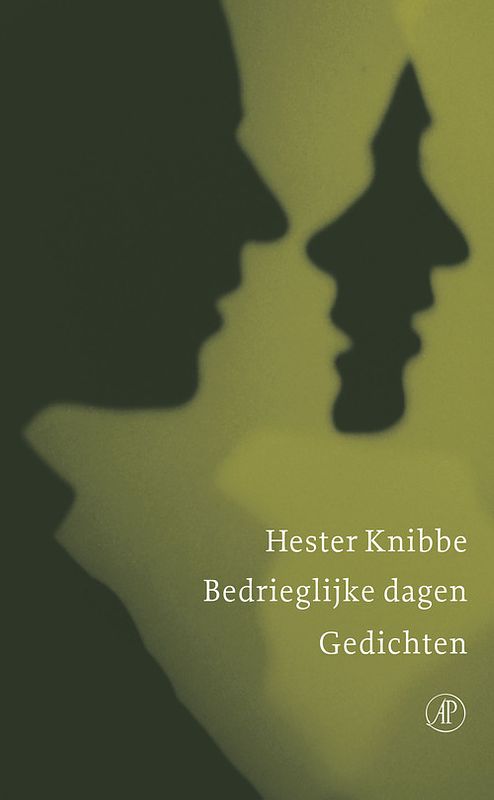 Foto van Bedrieglijke dagen - hester knibbe - ebook (9789029582179)