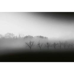 Foto van Wizard+genius foggy landscape vlies fotobehang 384x260cm 8-banen