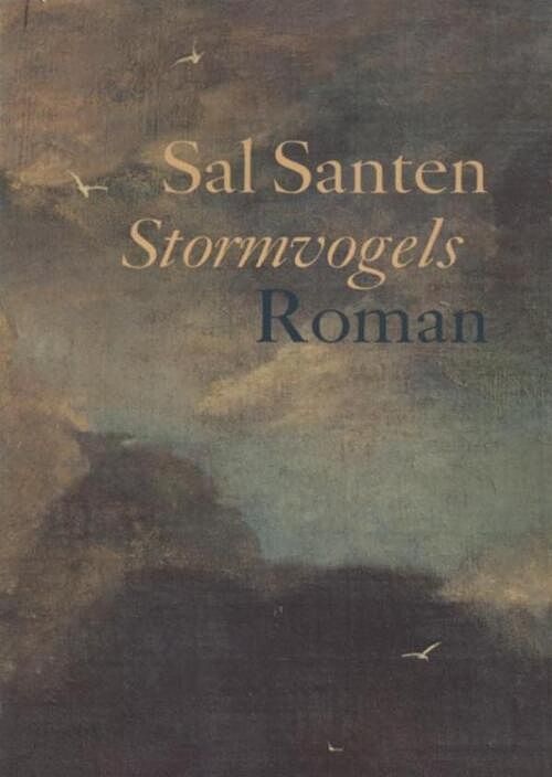 Foto van Stormvogels - sal santen - ebook (9789023475217)