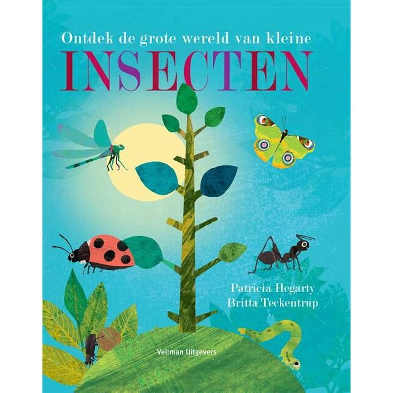 Foto van Ontdek de grote wereld van kleine insecten