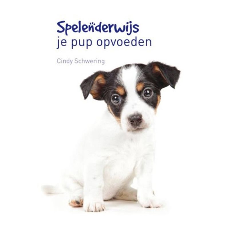 Foto van Spelenderwijs je pup opvoeden