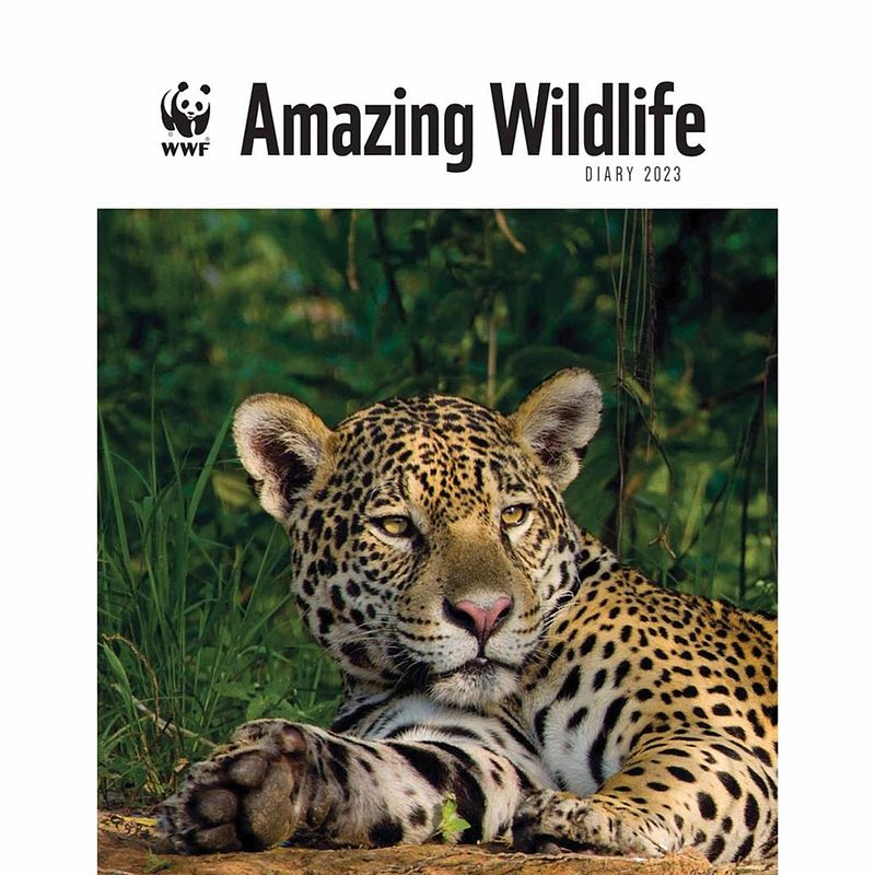 Foto van Wwf amazing wildlife agenda 2023