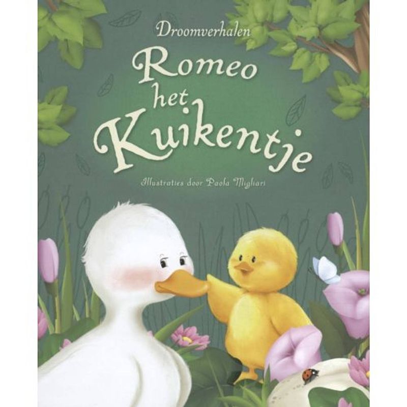 Foto van Romeo het kuikentje - droomverhalen