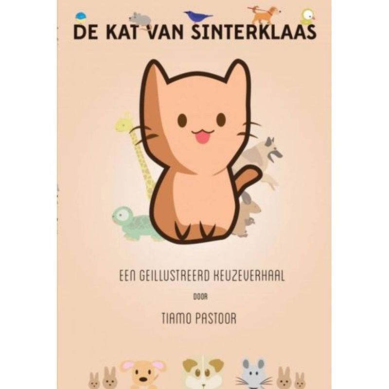 Foto van De kat van sinterklaas