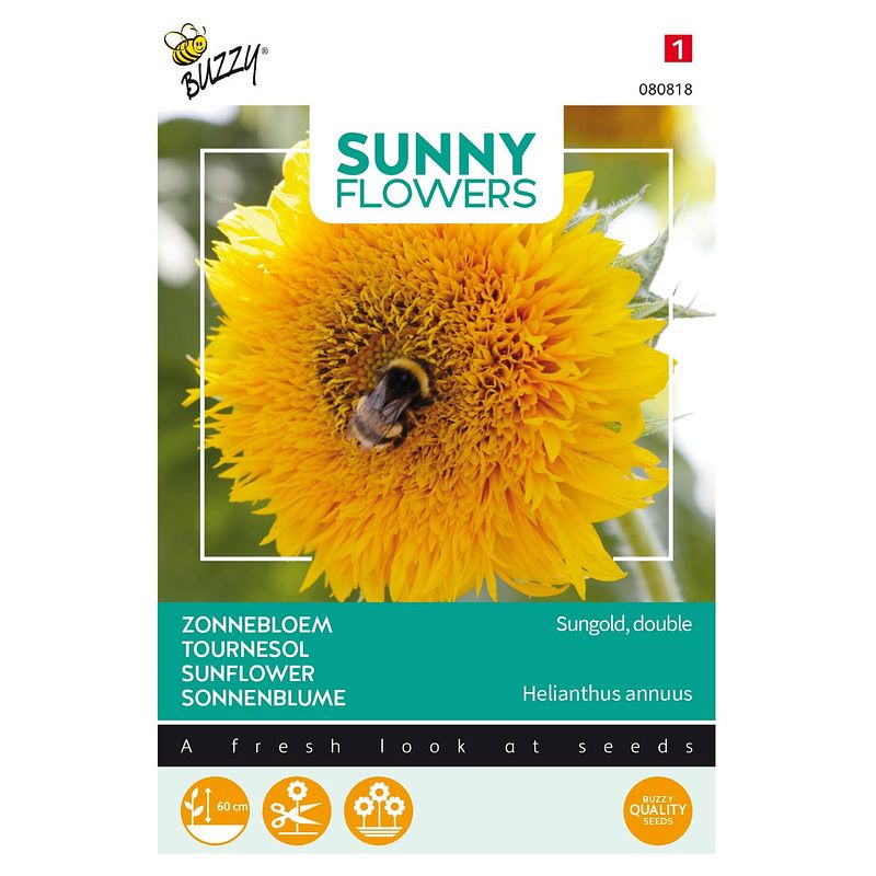 Foto van 3 stuks sunny flowers sungold