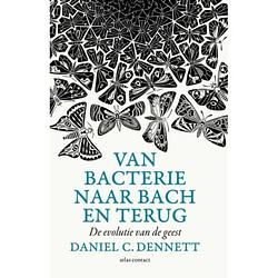 Foto van Van bacterie naar bach en terug