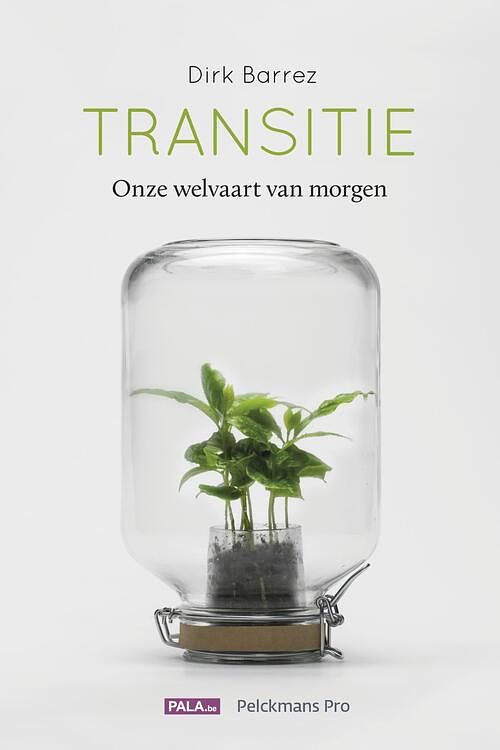 Foto van Transitie - dirk barrez - ebook (9789463370400)