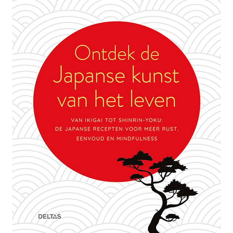 Foto van Ontdek de japanse kunst van het leven