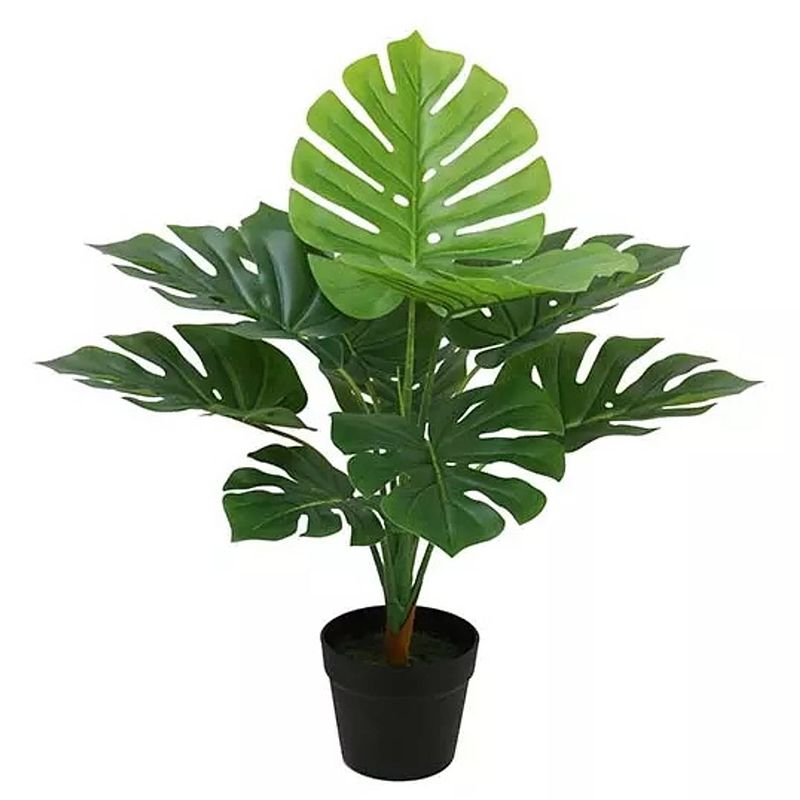 Foto van Monstera 70 cm kunstplant