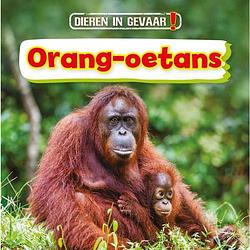 Foto van Orang-oetans