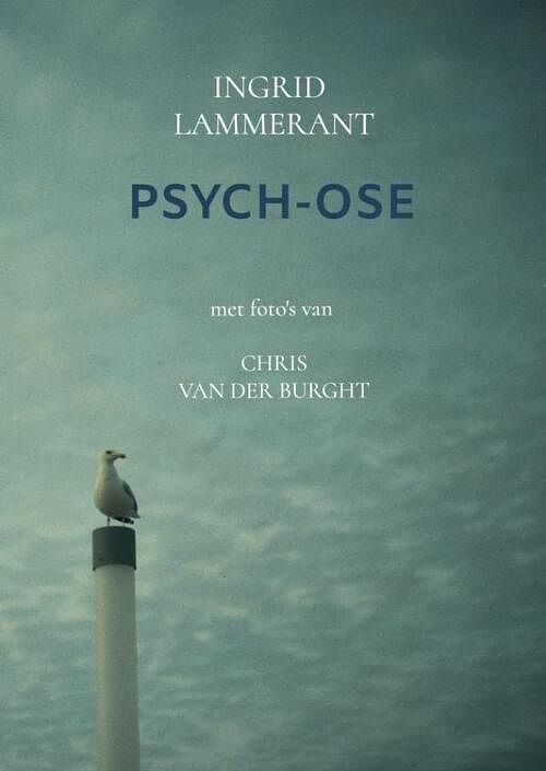 Foto van Psych-ose - ingrid lammerant - paperback (9789464659450)