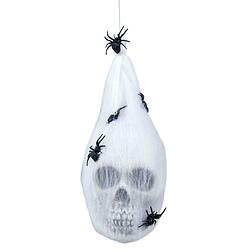 Foto van Fiestas horror/halloween decoratie doodskop in web- hangend - 25 cm - halloween poppen