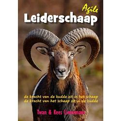 Foto van Agile leiderschaap