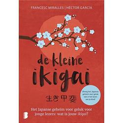 Foto van De kleine ikigai