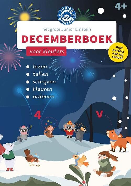 Foto van Het grote junior einstein decemberboek - paperback (9789493218888)