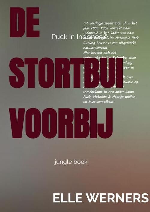 Foto van De stortbui voorbij - elle werners - paperback (9789464851878)