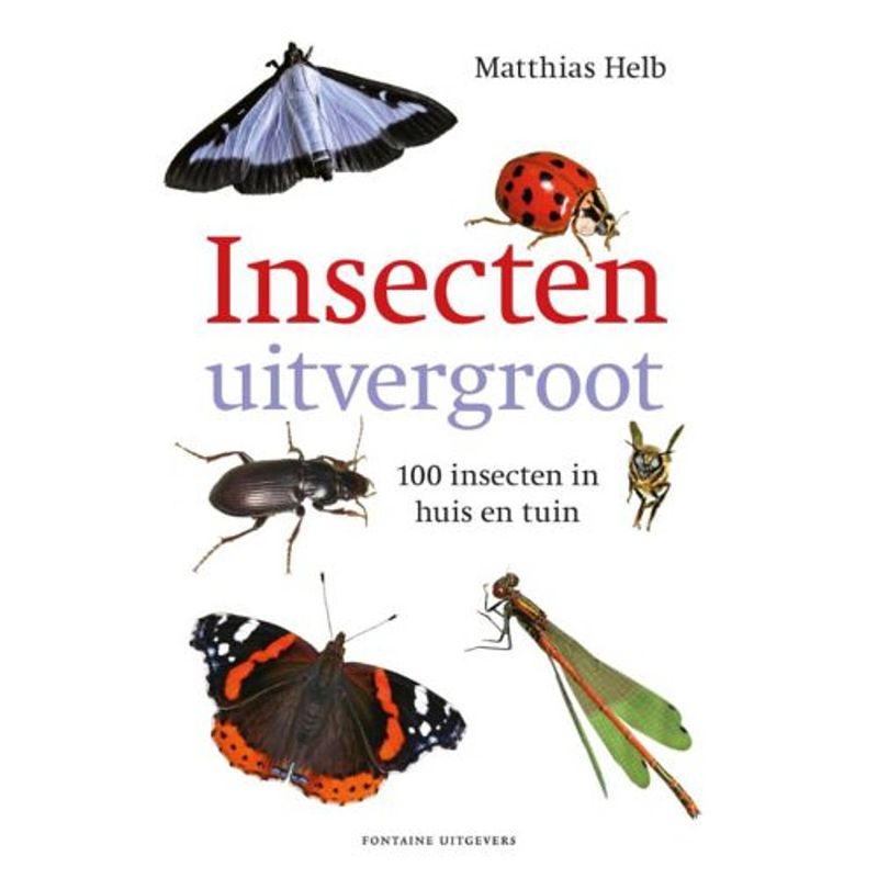 Foto van Insecten uitvergroot