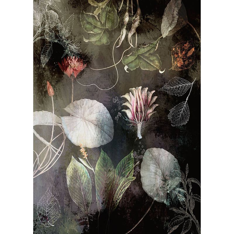 Foto van Komar night flowers vlies fotobehang 200x280cm 4-banen