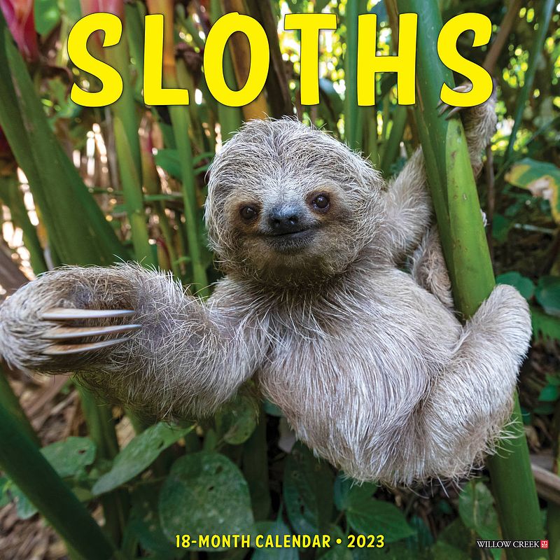 Foto van Sloth kalender 2023