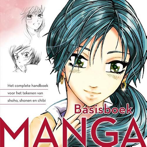 Foto van Basisboek manga - gecko keck - paperback (9789043927871)