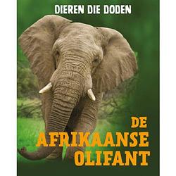 Foto van De afrikaanse olifant - dieren die doden