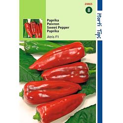 Foto van 2 stuks - hortitops - paprika atris hybride f1 rode koehoorn