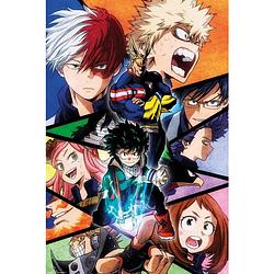 Foto van Gbeye my hero academia group poster 61x91,5cm