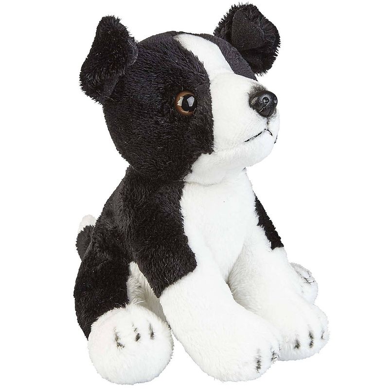 Foto van Pluche knuffel dieren border collie hond van 19 cm - knuffel huisdieren