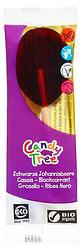 Foto van Candy tree cassis lolly