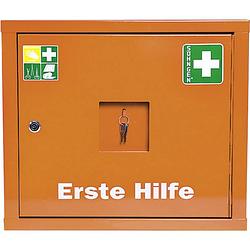 Foto van Verbandkast (l x b x h) 200 x 490 x 420 mm söhngen juniorsafe 0503013