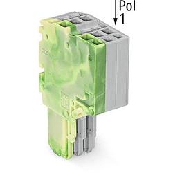 Foto van Wago 2020-203/000-037 connector, female 50 stuk(s)