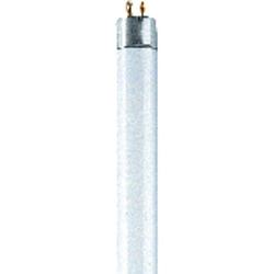 Foto van Osram tl-lamp energielabel: g (a - g) g13 18 w neutraalwit 840 buis (ø x l) 25.5 mm x 604 mm 1 stuk(s)