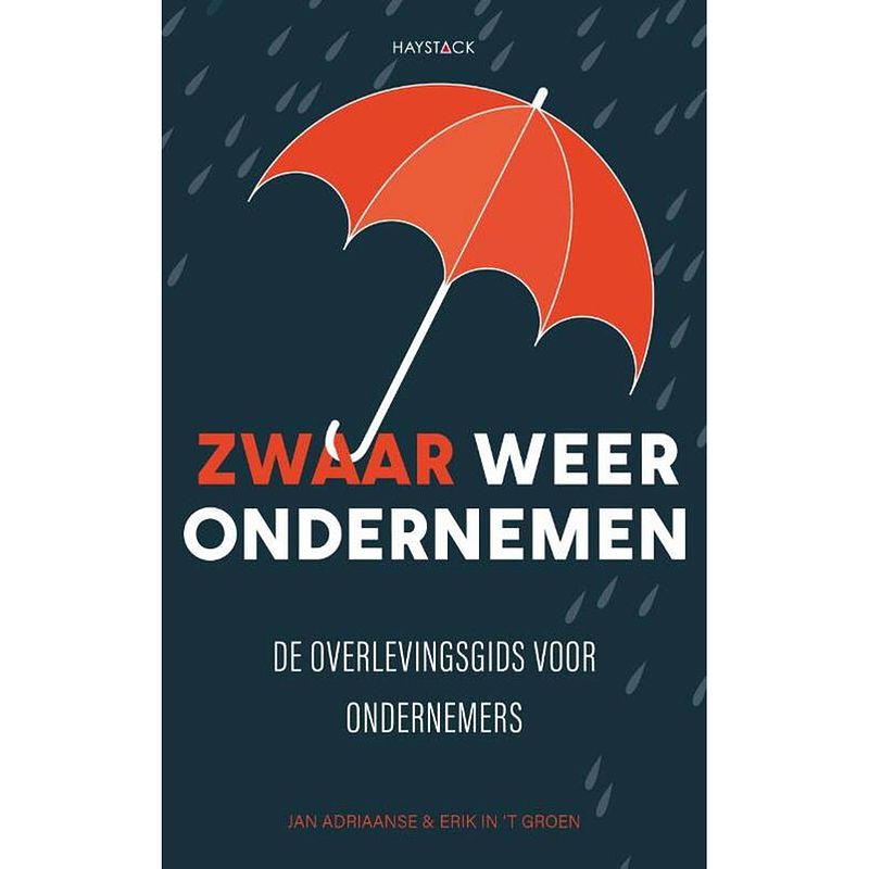 Foto van Zwaar weer ondernemen